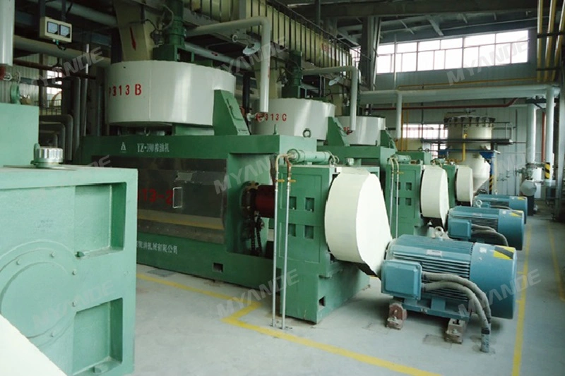 Turnkey Cotton Seed Oil Pressing Machine and Production Line