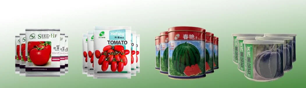 Indeterminate Good Firm Big Pink Tomato Seeds