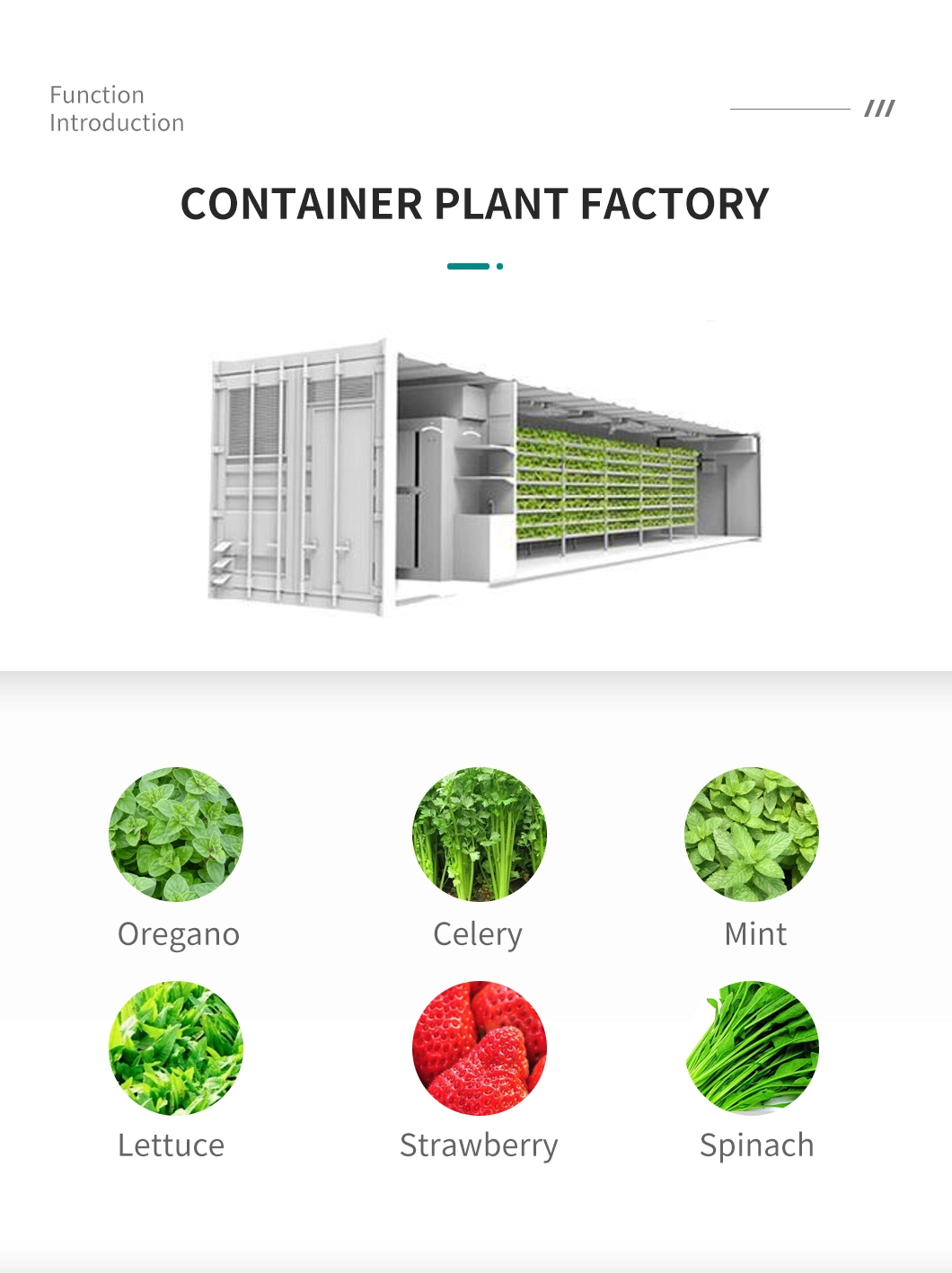 Intelligent Plant Factory Equipment Agriculture