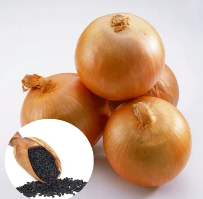 Yang chong fournit des semences de légumes hybrides Yellow F1 Onion Seeds